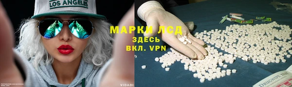 спиды Надым