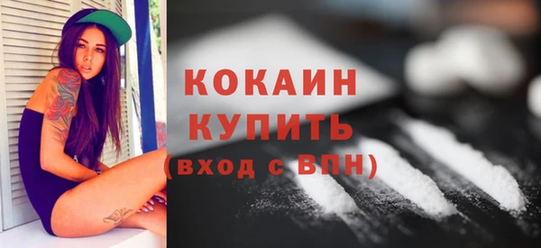 гидра Михайловск