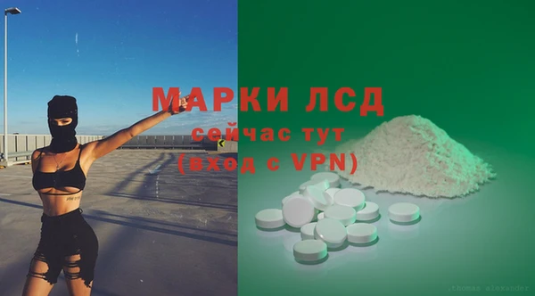 сатива Михайлов