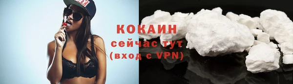 гидра Михайловск