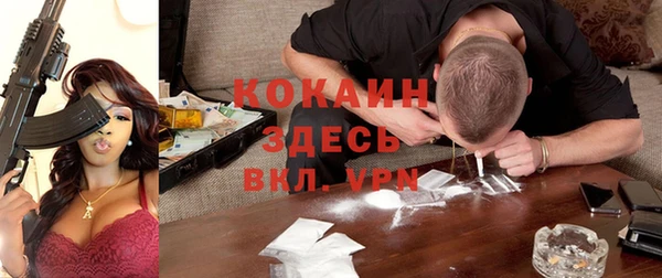 сатива Михайлов