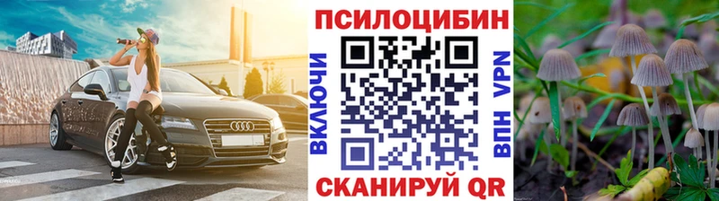 Псилоцибиновые грибы Psilocybine cubensis  Белгород 