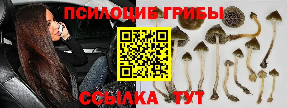 Псилоцибиновые грибы мухоморы Белгород
